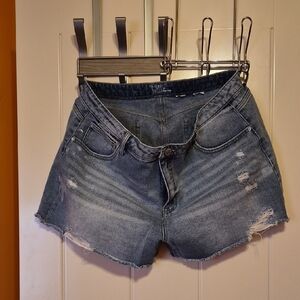 Time and Tru Women's Blue Jean Shorts